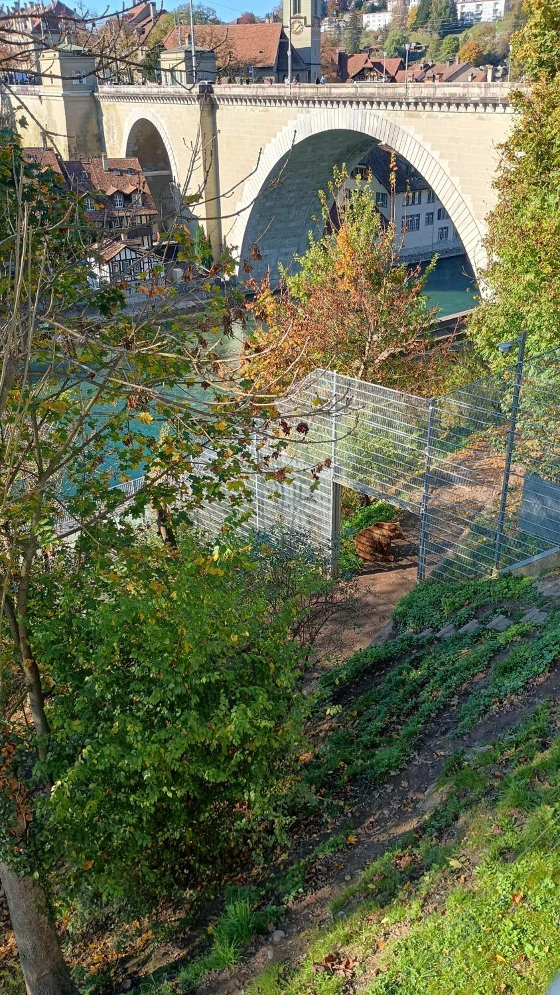 Studio Appartement Avec Piscine, Ski Porte Du Soleil Morgins, Ps3 Games, Wash & Bring Sheets Exterior foto